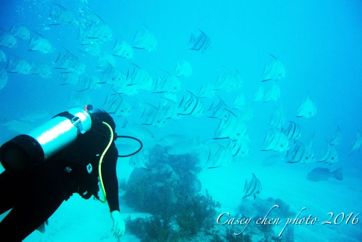 QQ图片20180914164104